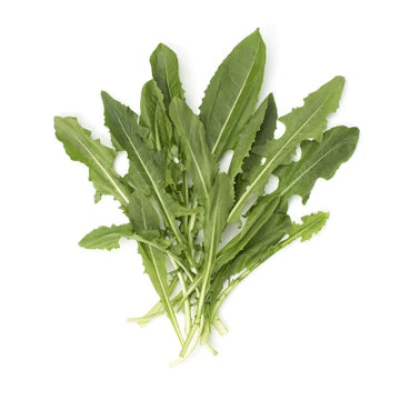 Dandelion, Greens Bunch