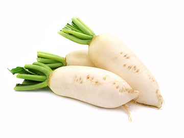Radish, Diakon (Lo Bok) EACH