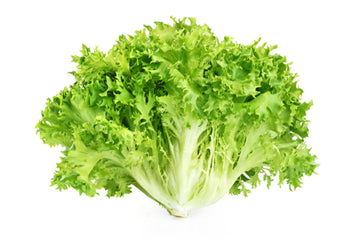 Endive, Curly