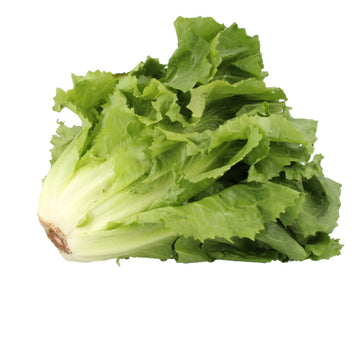 Escarole,