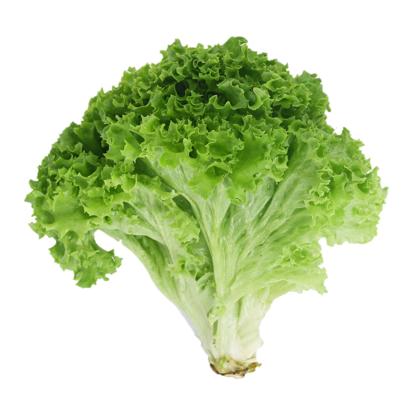 Lettuce, Green Leaf EACH