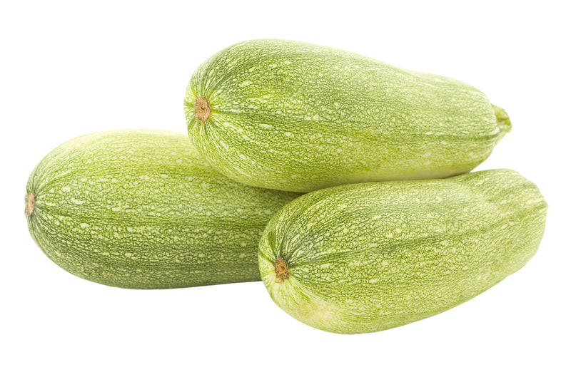 Squash, Zucchini Grey Mexican