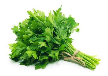 Parsley, Italian PER BUNCH