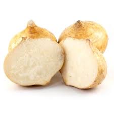 Jicama Root EACH