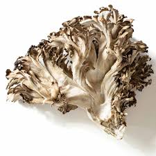 Maitake Mushroom 100g