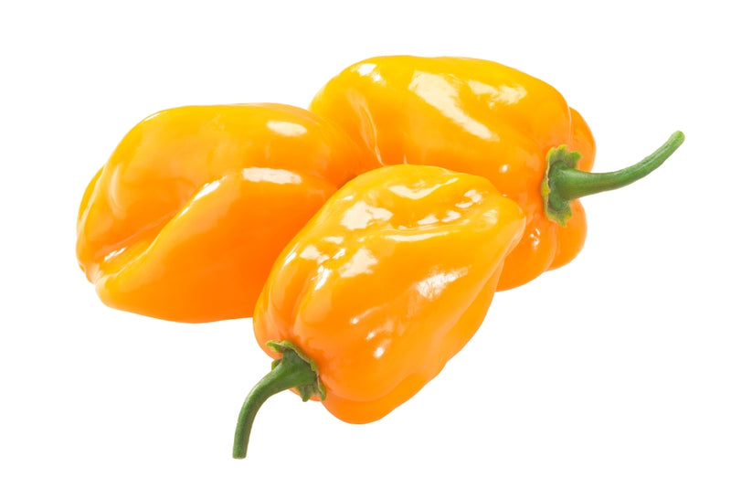 Pepper, Habanero Orange 2oz