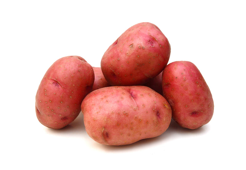 Potato, Red 8oz
