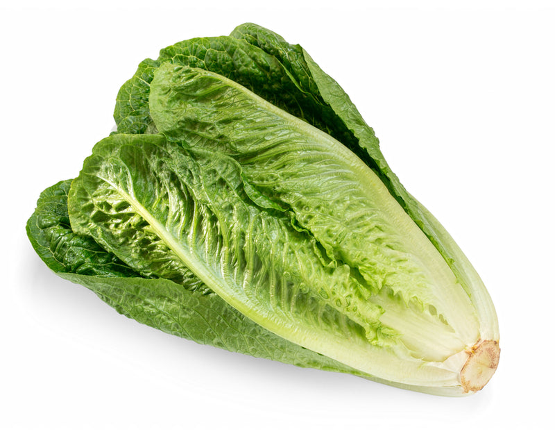 Lettuce, Romaine EACH