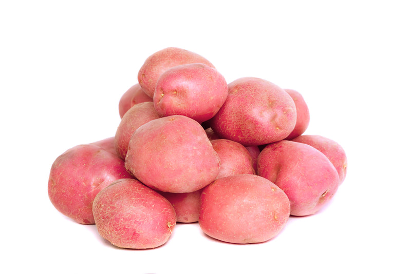 Potato, Creamer Red 8oz