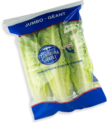 Lettuce, Romaine Hearts 3ct