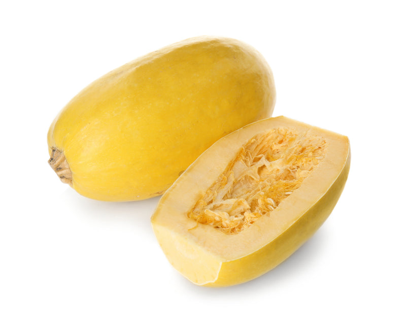 Squash, Spaghetti
