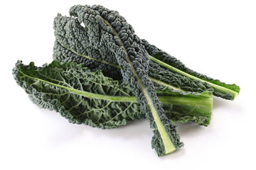 Kale, Green Tuscan PER BUNCH