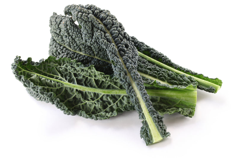 Kale, Green Tuscan PER BUNCH