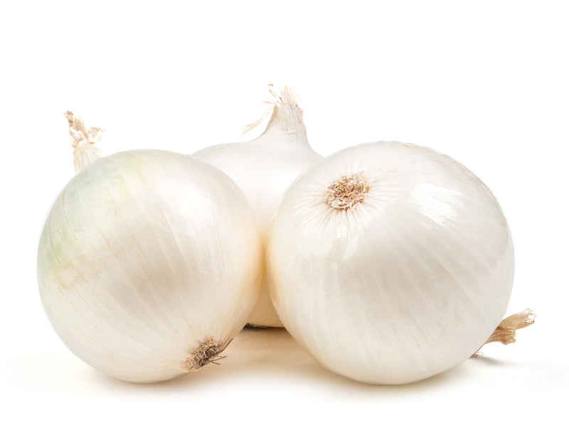 Onion, White EACH