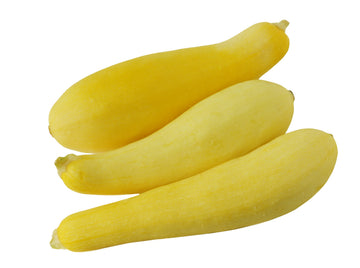 Squash, Yellow Fancy