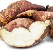 Boniato Root 2LB BAG