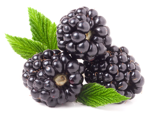 Blackberries, 6oz Container