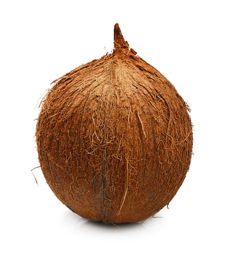 Coconut, Brown EACH