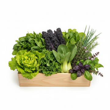 Leafy Greens Box - Spinach, Lettuce, Kale and Herbs