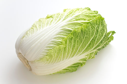 Cabbage, Nappa
