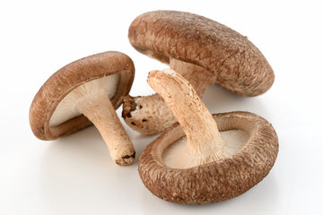 Mushroom, Shitake 8oz