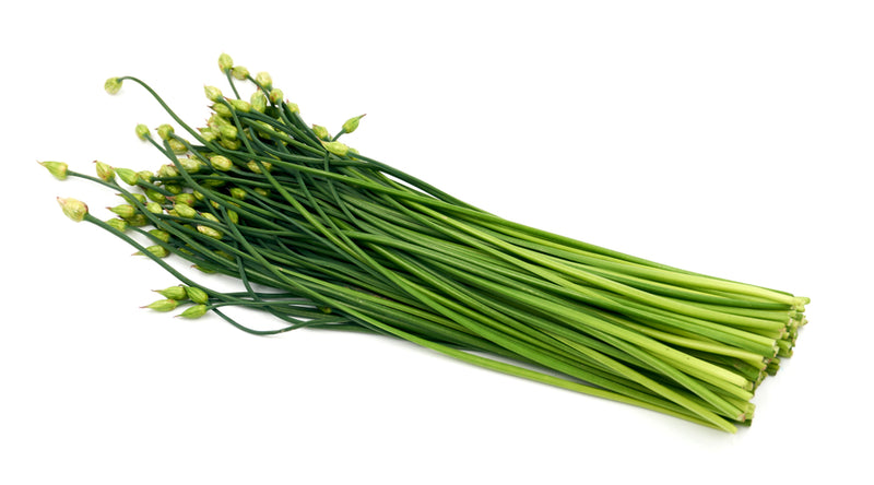 Garlic Chives Bunch