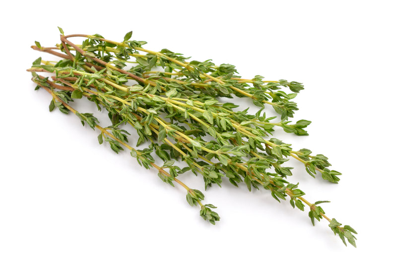 Herb, Thyme Bunch