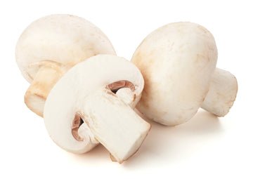 Mushroom, White 8oz